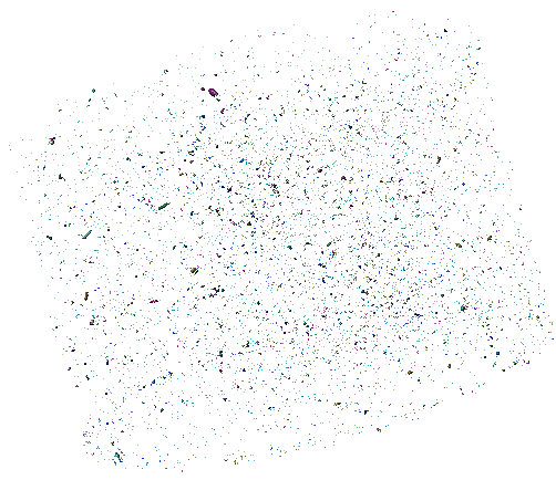 CT技术在生态学中的多尺度应用（附检测方法和图像分析）
