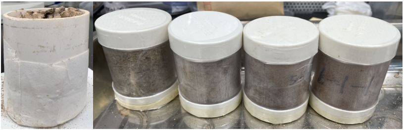 CT技术在生态学中的多尺度应用（附检测方法和图像分析）