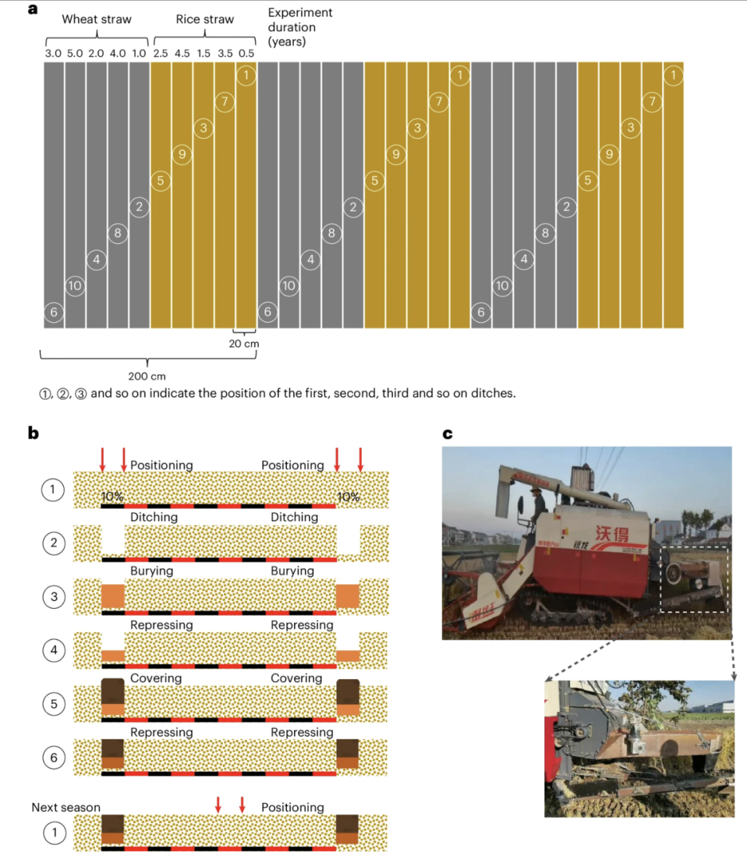客户文章（NG）| 可持续性底土管理促进土壤碳积累与作物产量提升