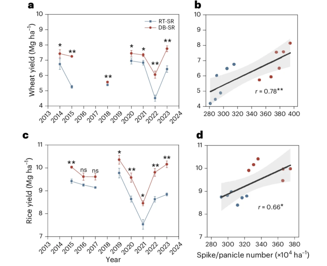 客户文章（NG）| 可持续性底土管理促进土壤碳积累与作物产量提升