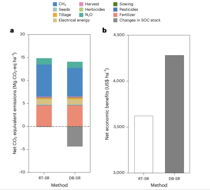 客户文章（NG）| 可持续性底土管理促进土壤碳积累与作物产量提升