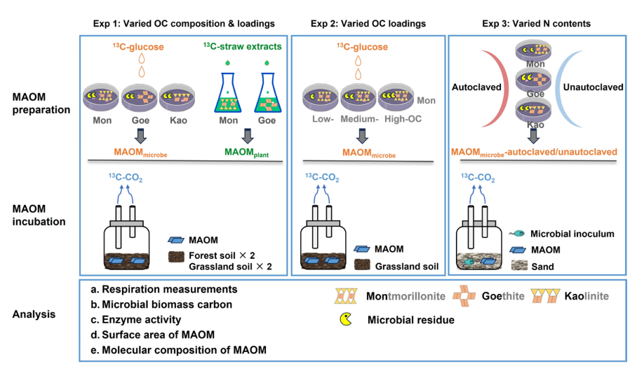 文献解读| 土壤中富氮矿物结合有机质的快速降解