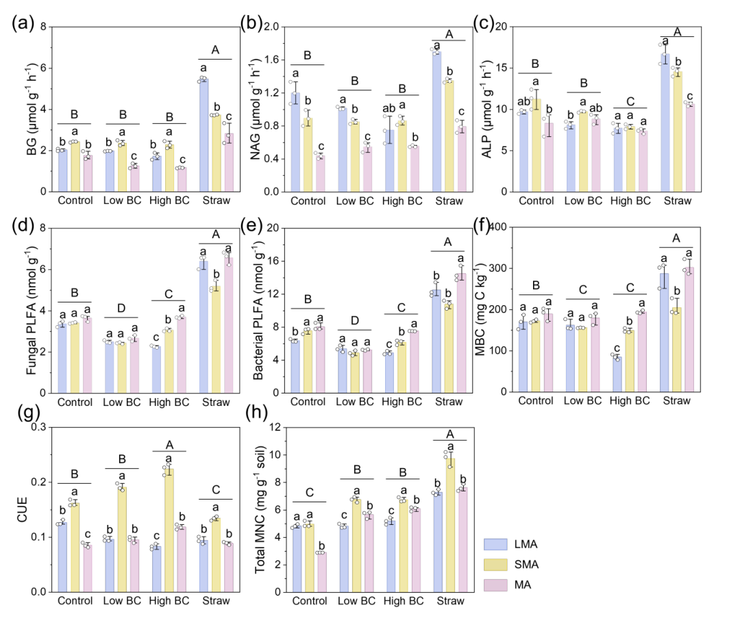 恭喜！北师大孙可团队陈雅兰SBB：团聚体尺寸调控土壤有机碳的稳定性及温度敏感性
