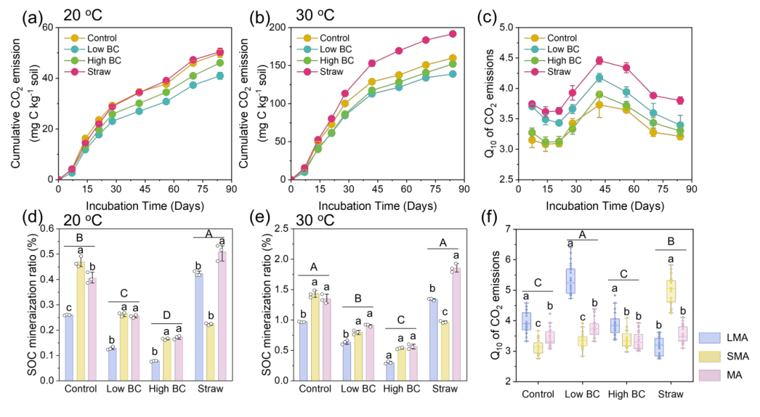 恭喜！北师大孙可团队陈雅兰SBB：团聚体尺寸调控土壤有机碳的稳定性及温度敏感性