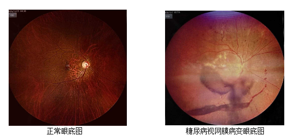 微信图片_20260508152237_210_16.png