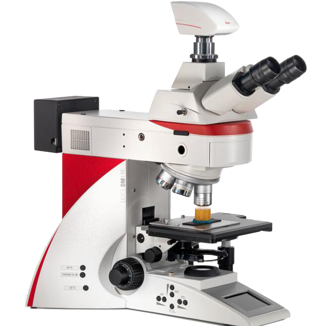 應用案例 | 從鑲嵌到觀察！標樂 EcoMet 30 磨拋機助力純鈦金相制備