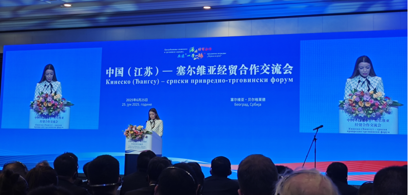 Gardermoen Showcases Expertise at China-Jiangsu-Serbia Economic Cooperation Conference(图2)