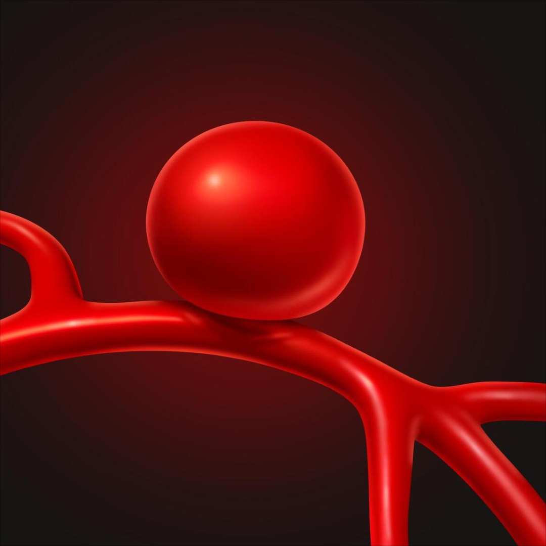 66b802110094a275ec9a37ed8a4132d4.png