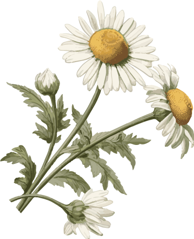 抗菌清创敷料有什么用骨科换药全攻略：不只是“换纱布”那么简单_https://www.jmylbn.com_新闻资讯_第9张