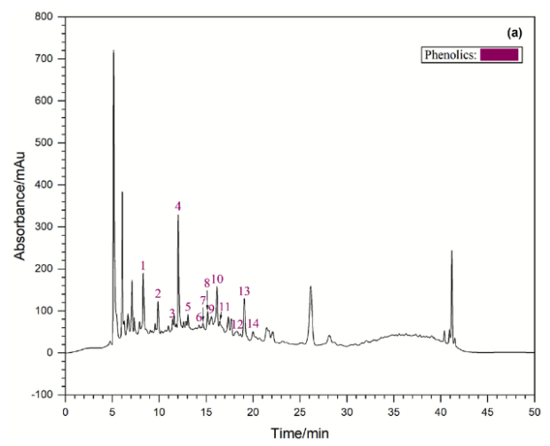 双效价值重大突破！木姜子果皮研究获新进展，科诺美超高效液相色谱全程赋能