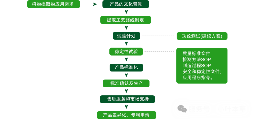 小叶本草提供大宗天然植物提取物定制/代加工服务：您的天然成分创新伙伴