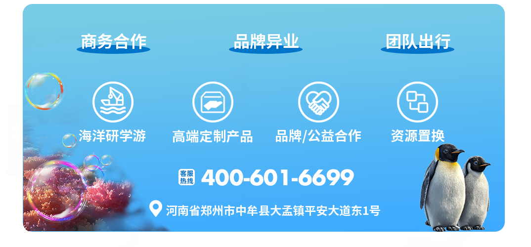 月薪3万招摸鱼官