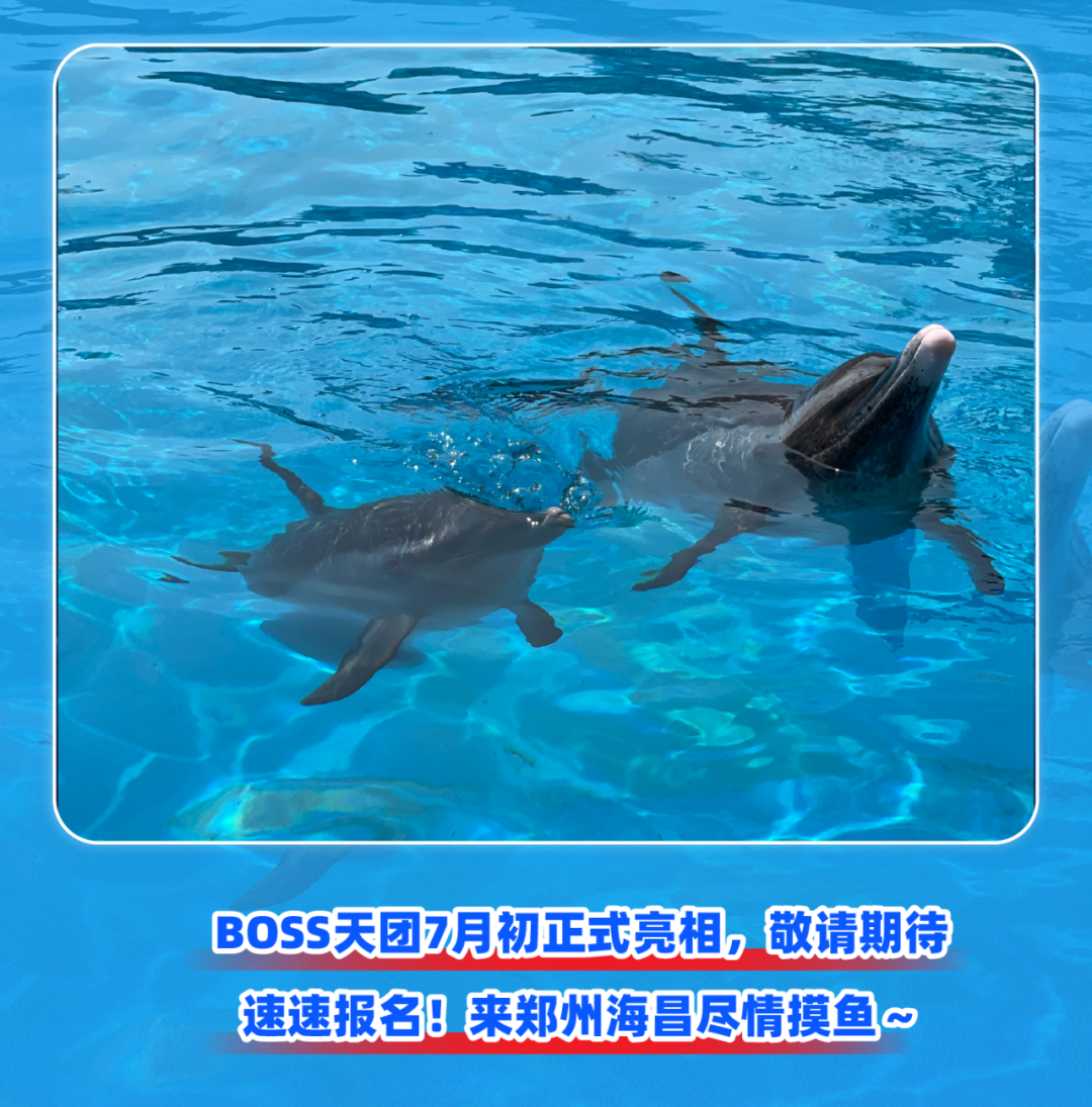 月薪3万招摸鱼官