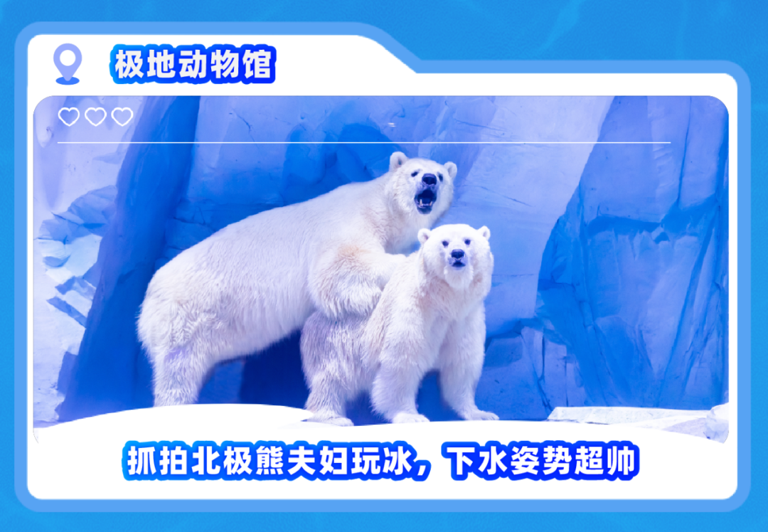 月薪3万招摸鱼官