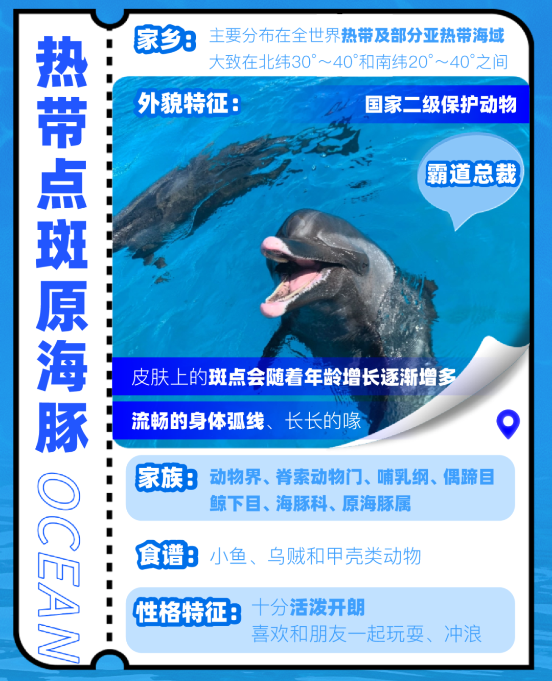 月薪3万招摸鱼官