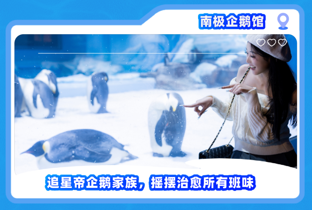月薪3万招摸鱼官