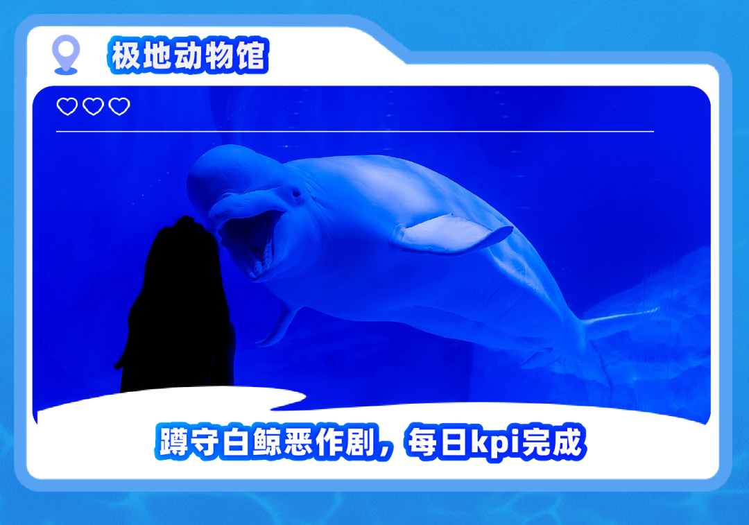 月薪3万招摸鱼官