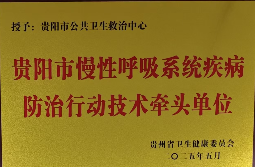 13.webp