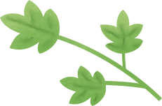 昆明公共文化云