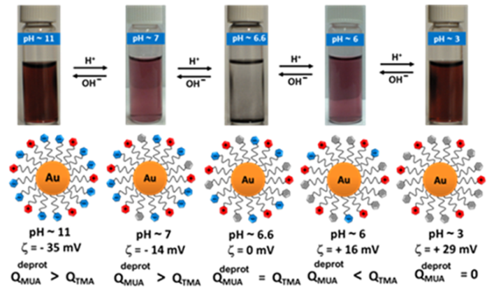 混合電荷納米顆粒的調控pH穩(wěn)定性機理研究