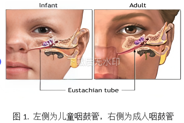 中耳筛查怎么做孩子听力筛查没通过？解密耳朵里的“积液密码”_https://www.jmylbn.com_新闻资讯_第28张