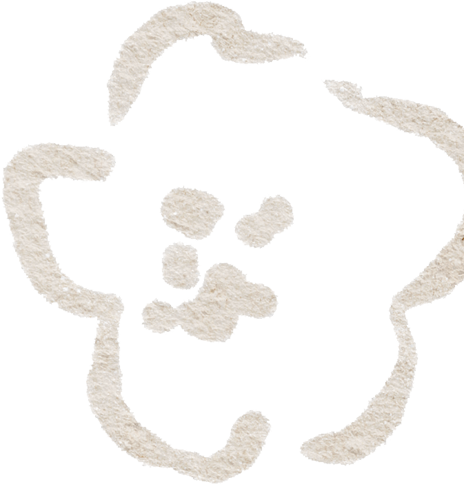 时光里的石榴幼|故事里的石榴教师 年度收获-幼师课件网第8张图片