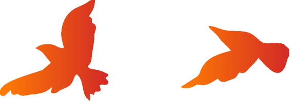 640-7.png