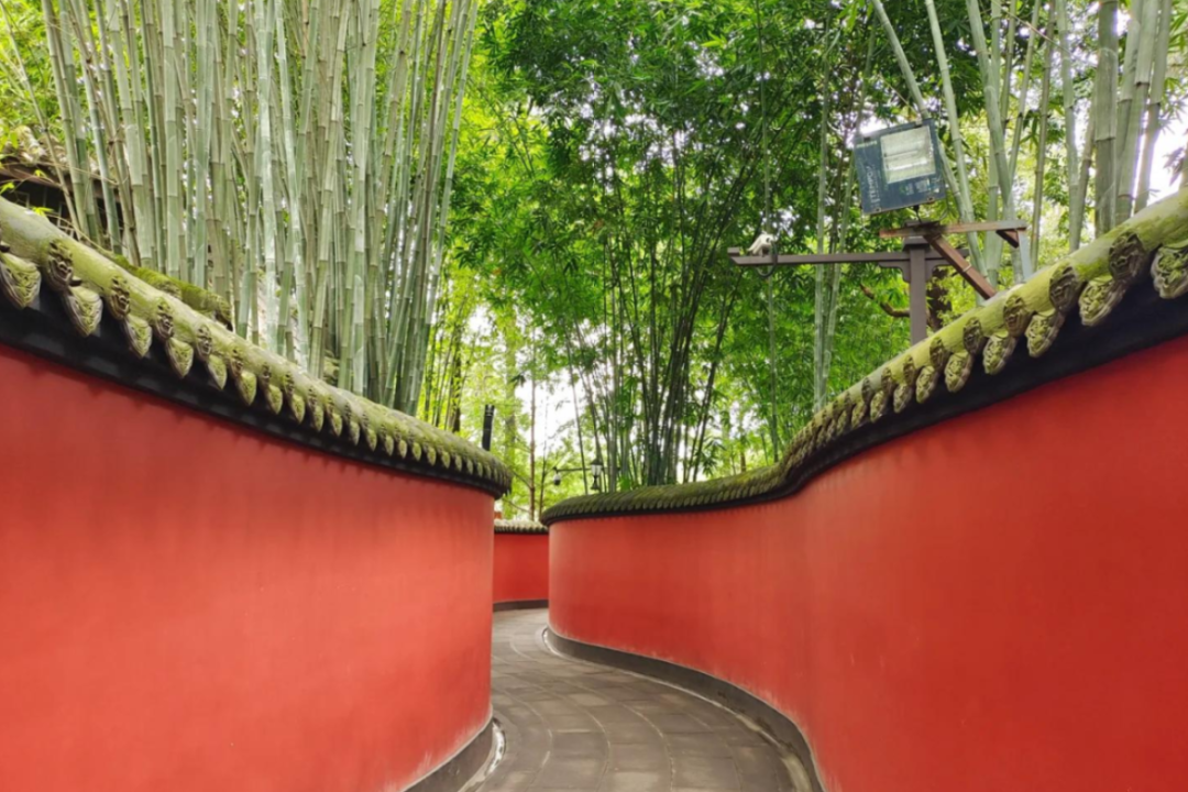 0ec1fa69512977201254ece6020b449c_3.png