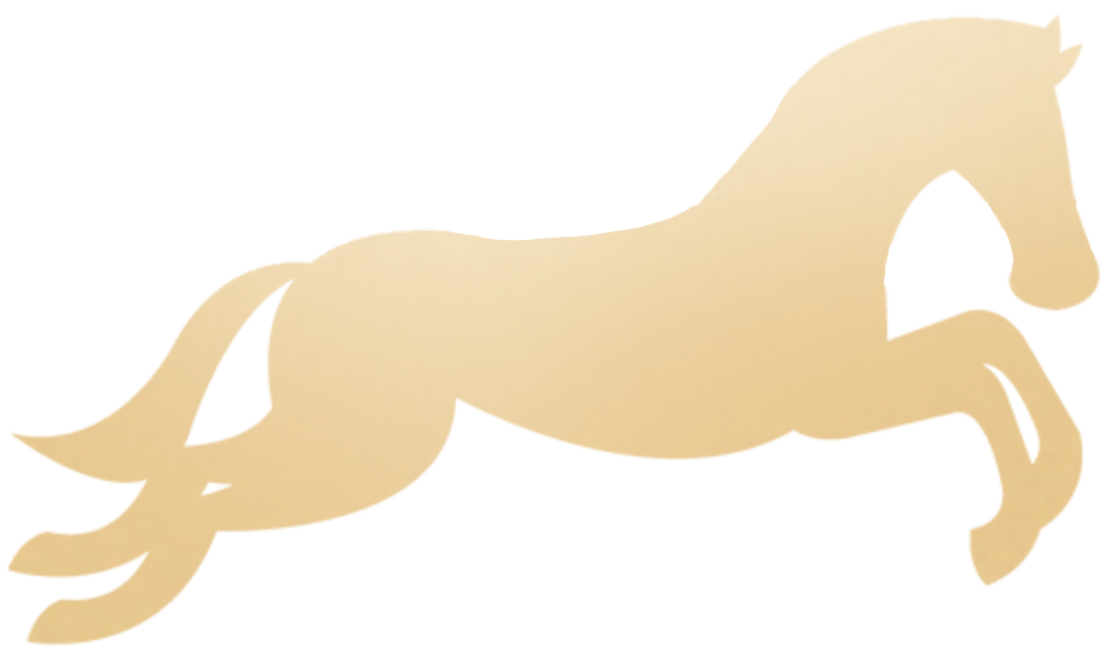 喜讯！由新诺主办的第五届上海沪助科研圈发展年会圆满收官！