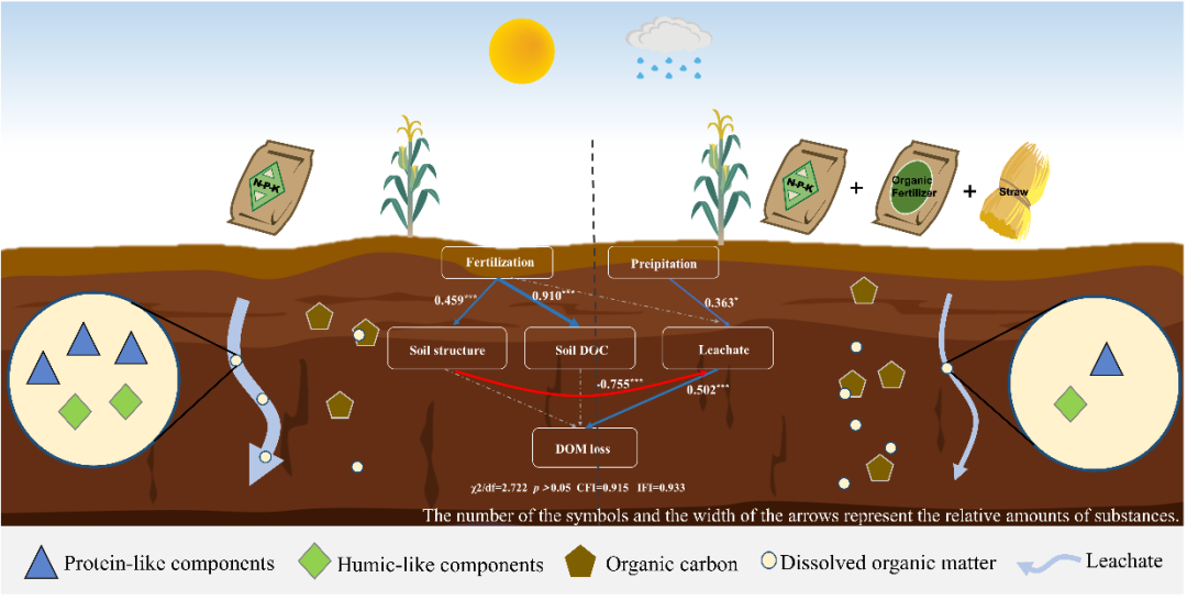 合作文章丨川农何淑勤、郑子成教授团队Water Research：长期施肥制度减轻了农业土壤渗滤液中溶解有机质的浸出并改变了其化学多样性