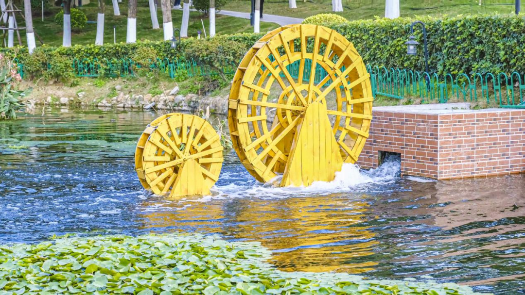 来自澳头水质净化厂的活水持续注入，为怀远湖带来勃勃生机。厦门市政环科公司供图