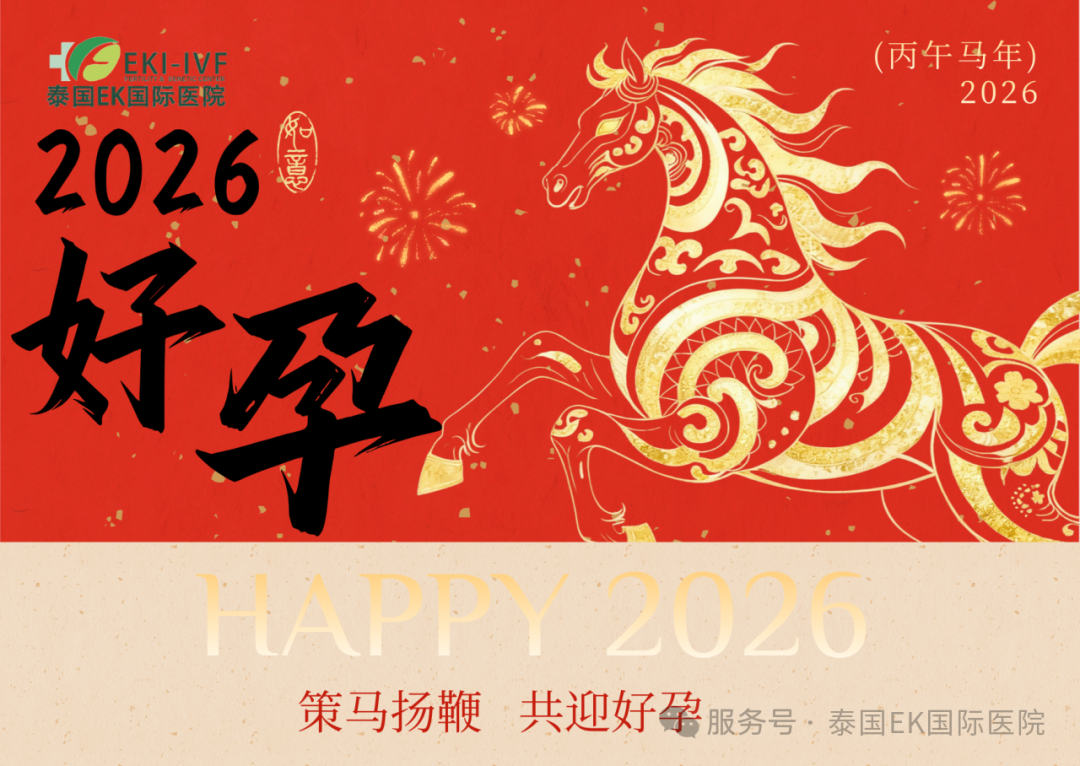 泰国试管——马年好孕，就要“快狠准”！
