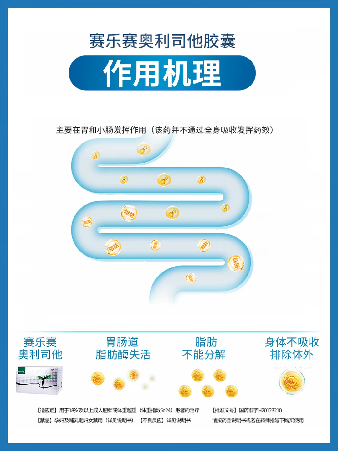 不同品牌奥利司他怎么甄别