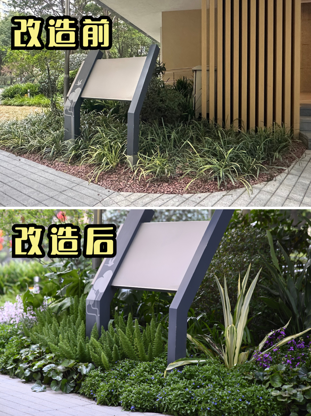 春季補(bǔ)植合集，給春天一點(diǎn)「顏色」瞧瞧！