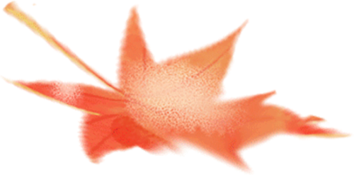 怎么测角膜直径您知道测出来的角膜直径和瞳孔直径怎么用吗？笔灯用法大全（八）_https://www.jmylbn.com_新闻资讯_第2张