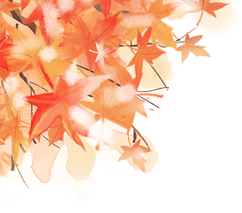 怎么测角膜直径您知道测出来的角膜直径和瞳孔直径怎么用吗？笔灯用法大全（八）_https://www.jmylbn.com_新闻资讯_第6张