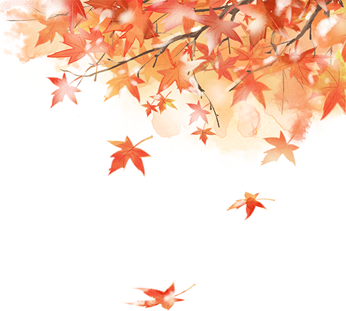 怎么测角膜直径您知道测出来的角膜直径和瞳孔直径怎么用吗？笔灯用法大全（八）_https://www.jmylbn.com_新闻资讯_第5张