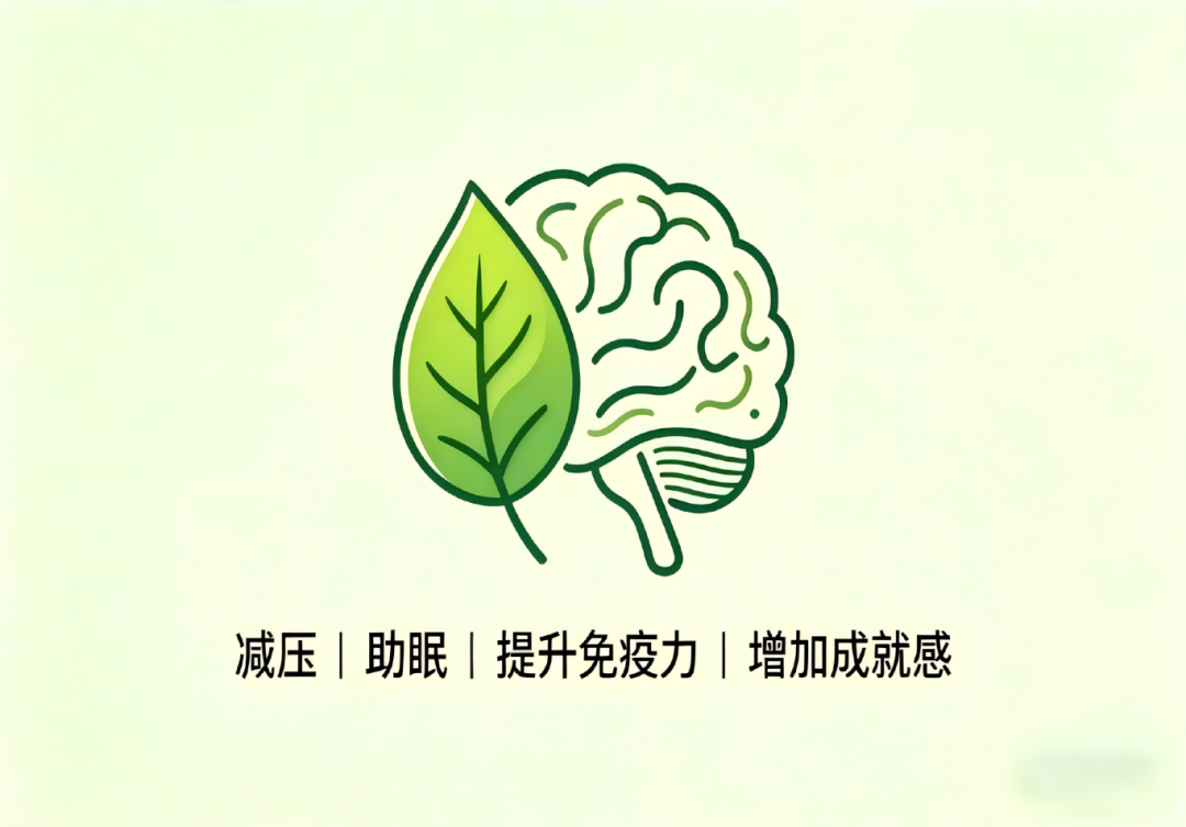 1-2605061RG9533.png