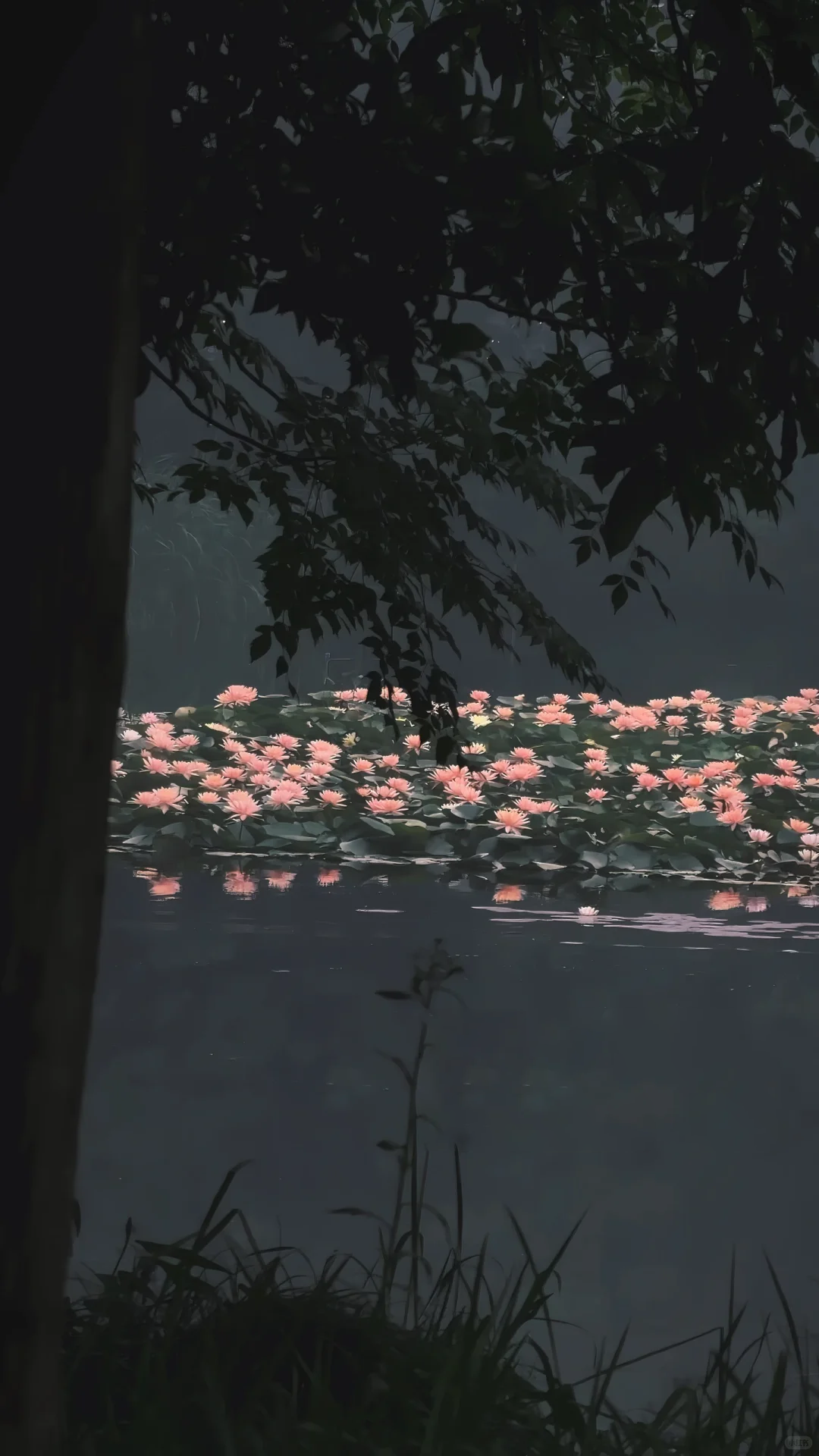 830919f332f2e0af561852016d142b79.png