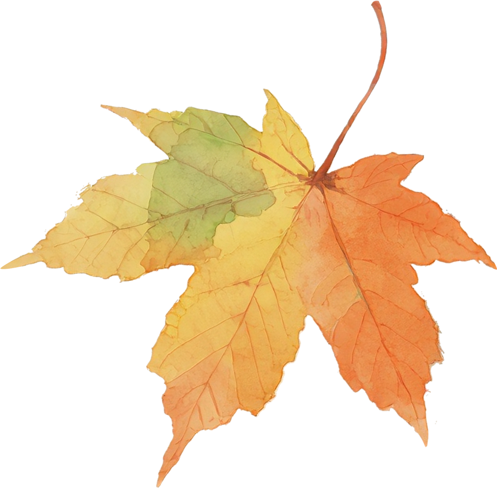 禾苗食谱11.17-11.21-幼师课件网第3张图片