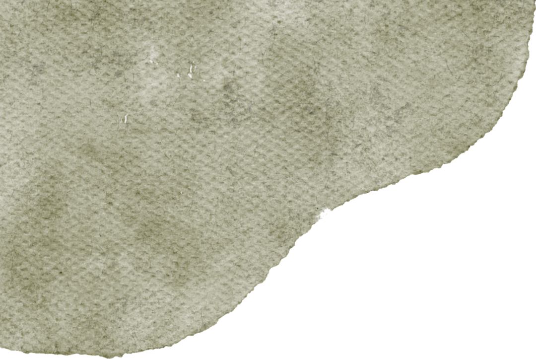 碧新心语，感恩同行 —— 碧新幼儿园感恩节活动-幼师课件网