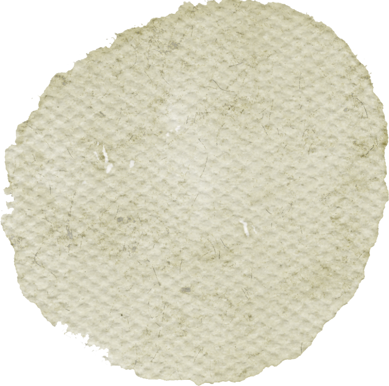 碧新心语，感恩同行 —— 碧新幼儿园感恩节活动-幼师课件网第9张图片