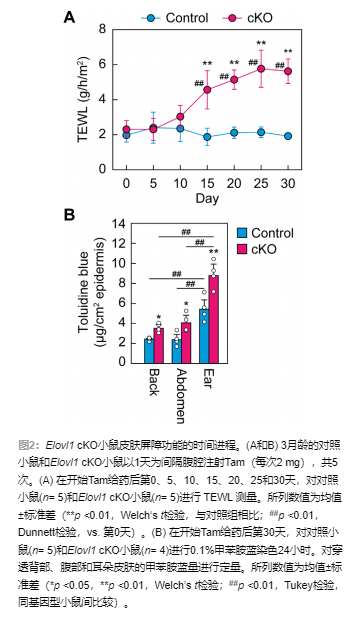 屏幕截图 2026-02-10 140133.png