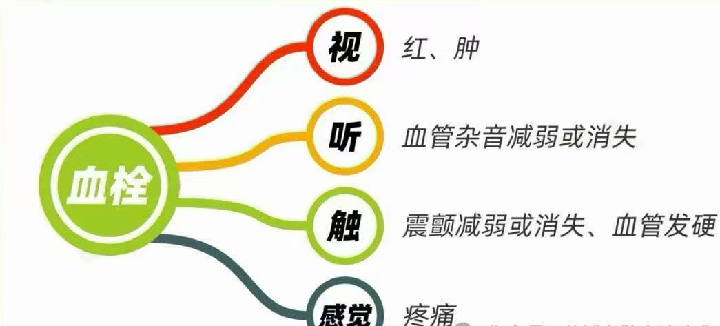 图片8.png