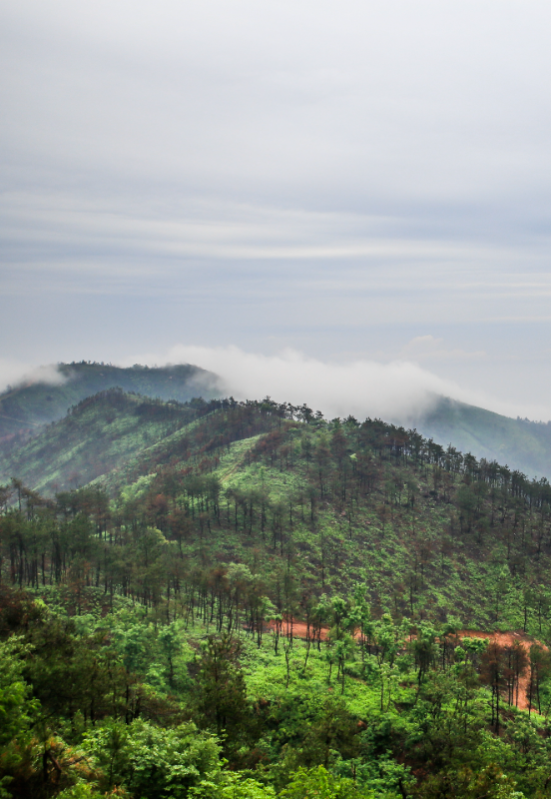 电影《越过山丘》取景独秀山，剧组人员体验诗意风光(图1)