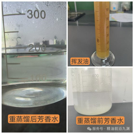 微信圖片_20250414101339.png