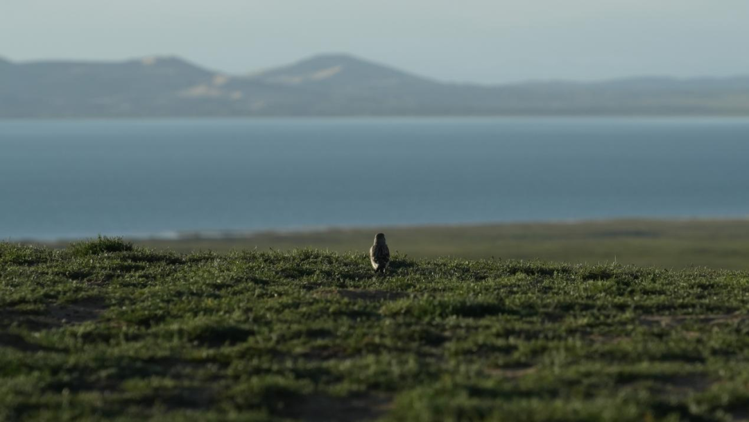 开幕了！免费开放至7月6日