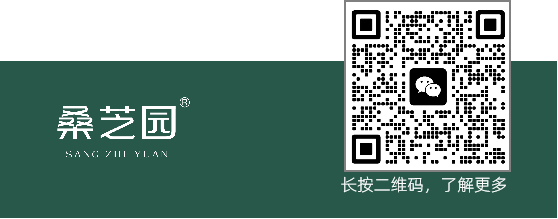 桑芝园｜以千年桑黄智慧，守护步履自由(图7)