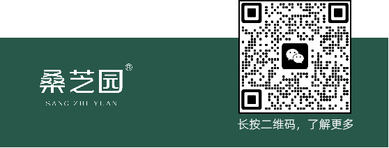 即将上新！三黄灵，全方位提升免疫功能！(图8)