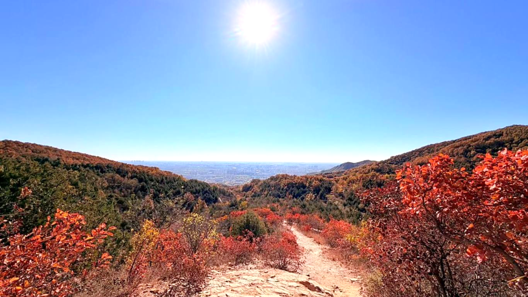 北京的秋天太美了｜也是DLAB大龙仪器“自动化生产线